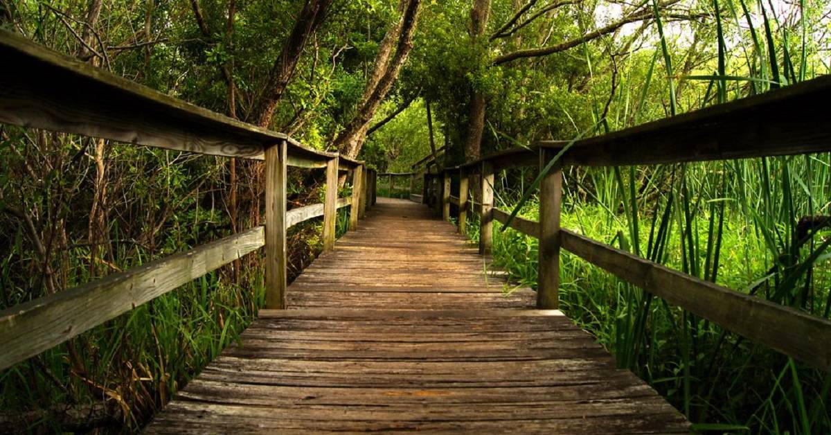 Sea Pines Forest Preserve