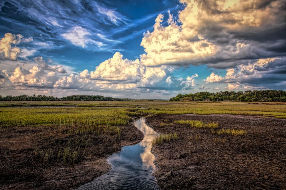 Pinckney Island National Wildlife Refuge